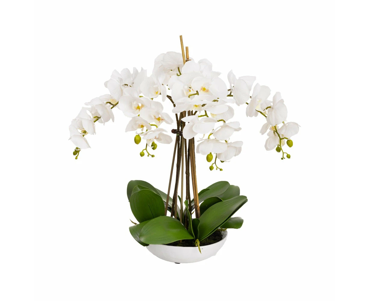 Glamorous Fusion Phalaenopsis Orchid Artificial Plant Flower Decorative 60cm White Bowl - White