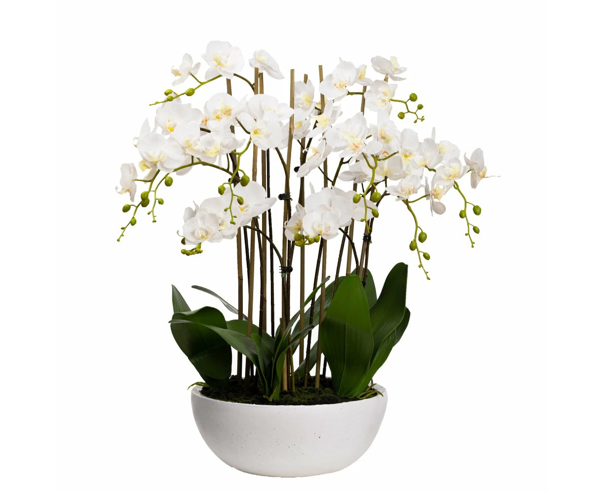 Glamorous Fusion Phalaenopsis Orchid Artificial Plant Flower Decorative Large 75cm Ceramic Pot - White