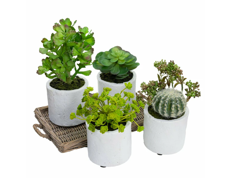Glamorous Fusion Set Of 4 Assorted Succulent Artificial Fake Plant Decorative In Pot - Green