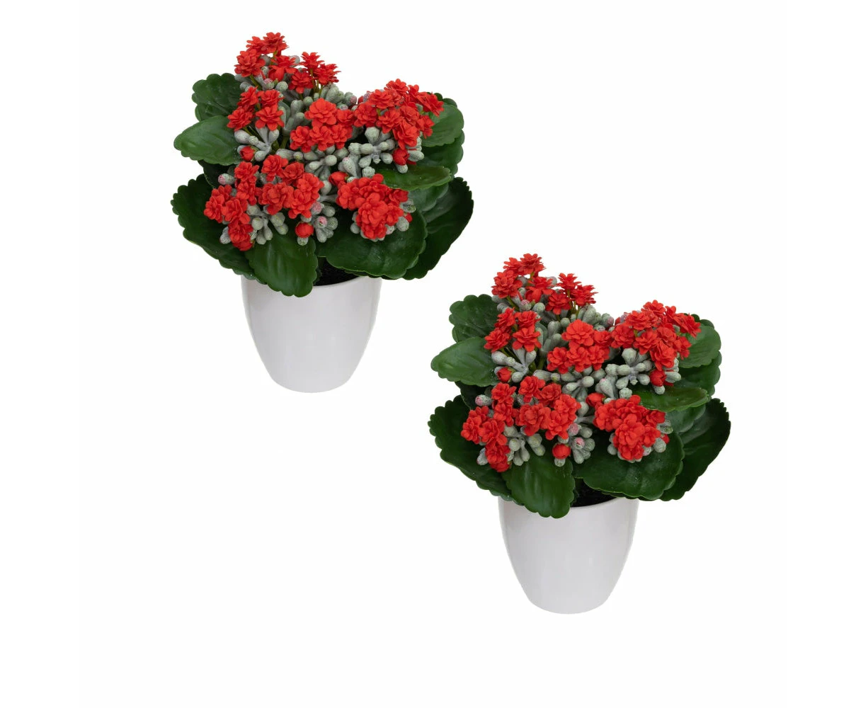 Glamorous Fusion Set Of 2 Kalanchoe Artificial Fake Plant Decorative Arrangement In Pot 20cm Green & Red