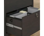 Salinas Wooden Classic 2-Drawer File Cabinet Office Storage - Vintage Black - Black