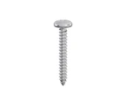 Securfix Cross Head, Round Self Tapping Screws (Pack of 200) (Silver) - ST9130