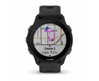 Garmin Forerunner 955 GPS Watch - Black