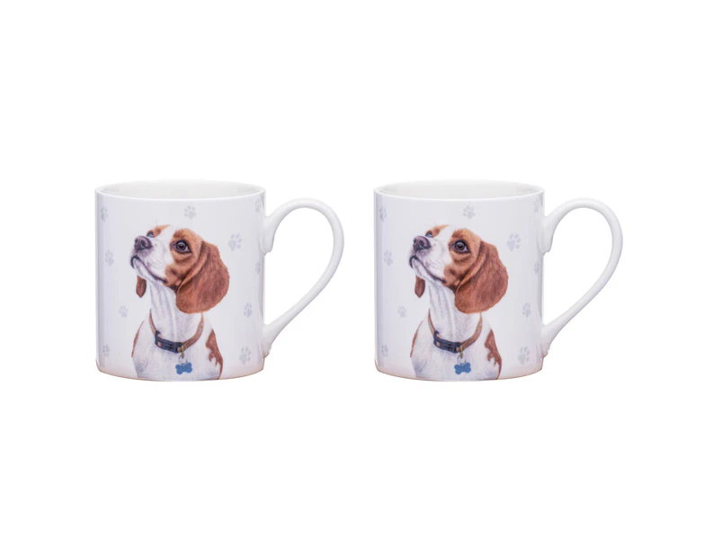 2x Ashdene Paws & All 380ml Mug Coffee Drink Cup w/Handle New Bone China Beagle