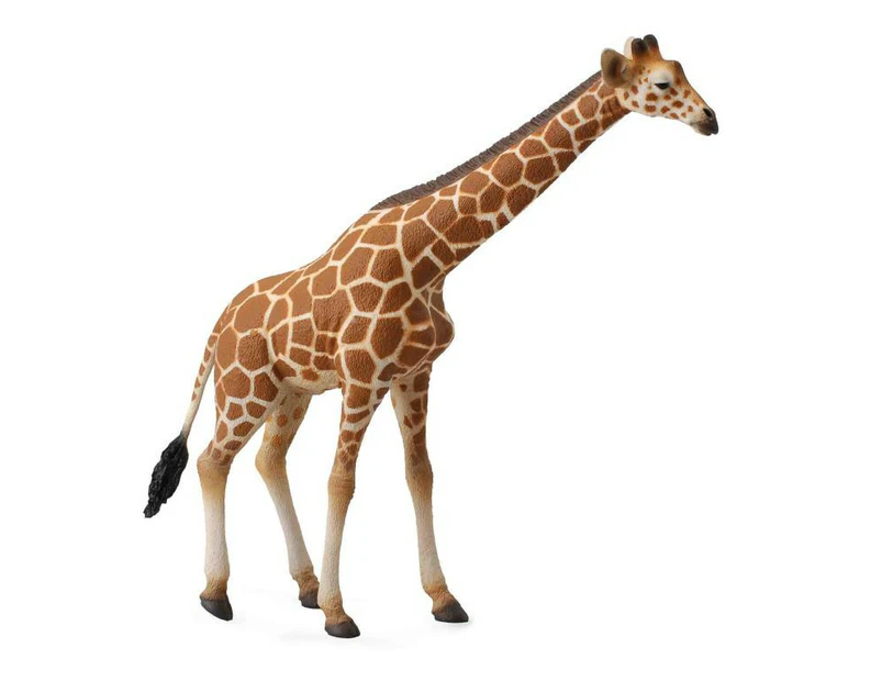 Collecta - Reticulated Giraffe