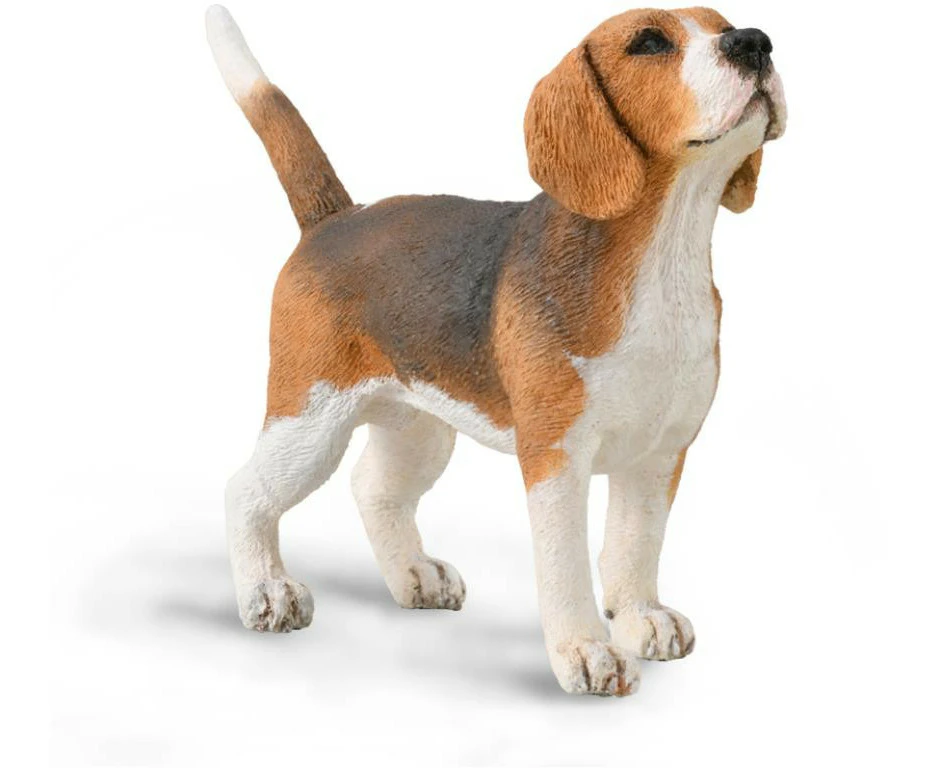 Collecta - Beagle 88935