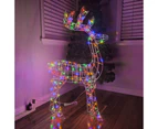 Christmas Decoration 3D Frame Standing Buck Reindeer 114cm Multi LED Indoor Outdoor