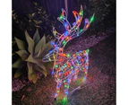 Christmas Decoration 3D Frame Standing Buck Reindeer 114cm Multi LED Indoor Outdoor