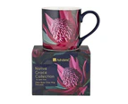 Ashdene Native Grace Waratah Plant/Flower Drinking Mug/Cup Tea/Coffee Hot 13cm