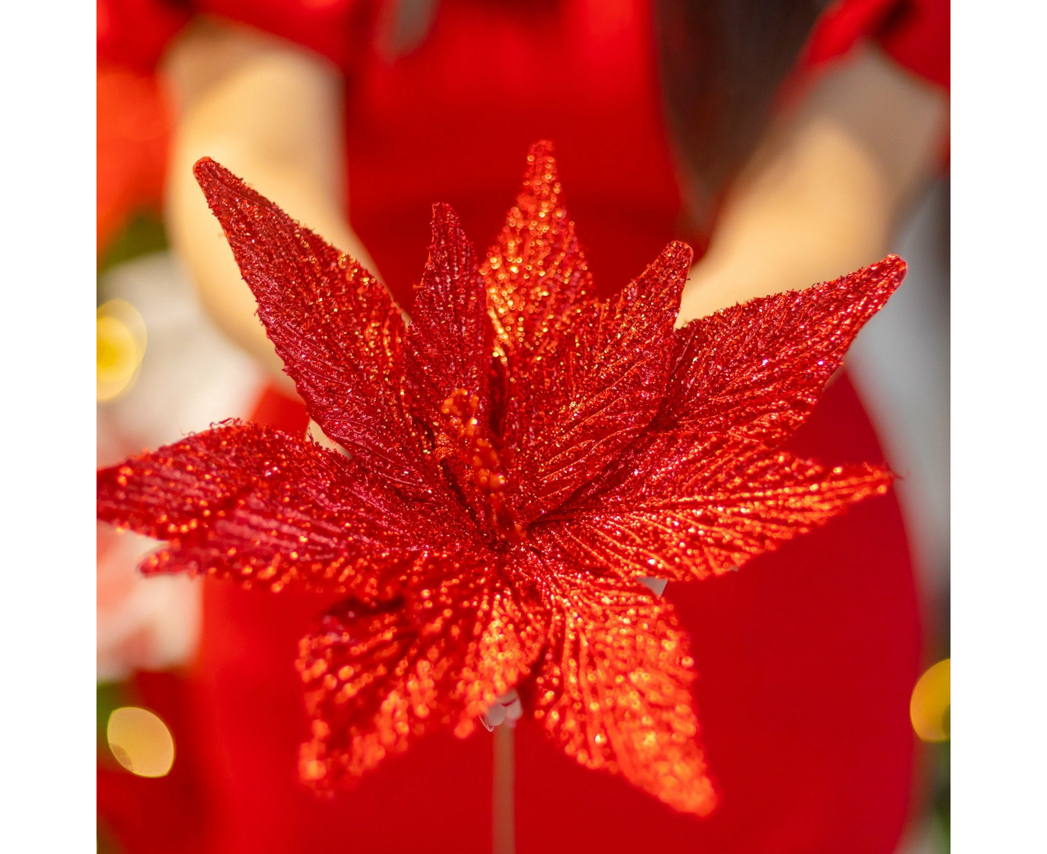 Deluxe Red Poinsettia