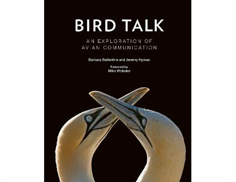 Bird Talk : An Exploration of Avian Communication