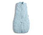 Ergopouch Toddler Jersey Sleep Suit Bag Tog 0.2 Dragonflies - Dragonflies