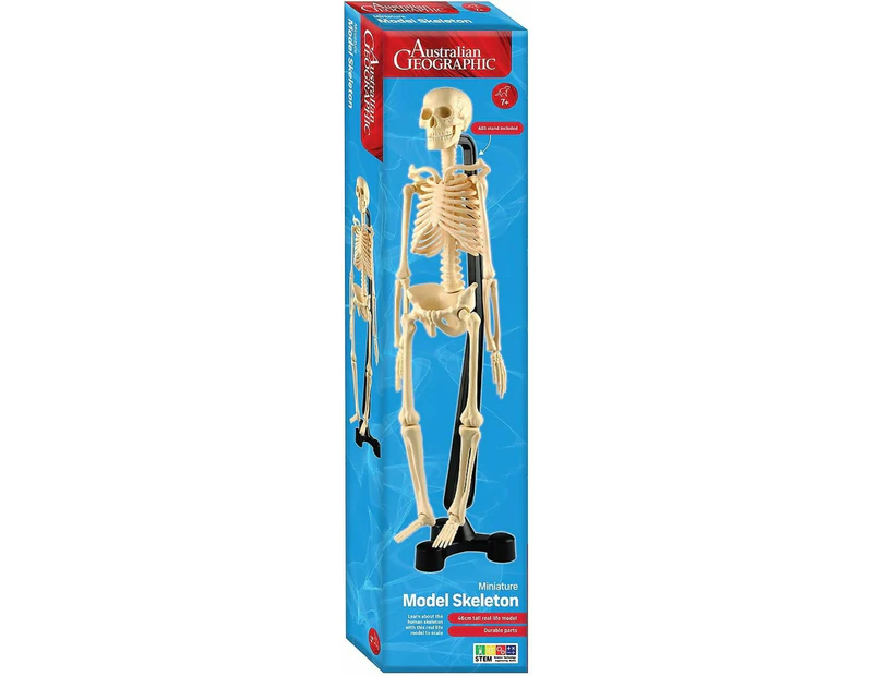 Australian Geographic - Mini Skeleton 46Cm