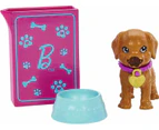 Barbie - Doll And Accessories Pup Adoption Playset With Doll 2 Puppies And Color - Mattel