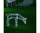 Stockholm Christmas Lights 100 LEDs Feeding Reindeer Cool White Outdoor Garden