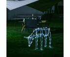 Stockholm Christmas Lights 100 LEDs Feeding Reindeer Cool White Outdoor Garden