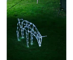 Stockholm Christmas Lights 100 LEDs Feeding Reindeer Cool White Outdoor Garden