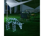 Stockholm Christmas Lights 100 LEDs Feeding Reindeer Cool White Outdoor Garden