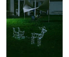 Stockholm Christmas Lights 160 LEDs Solar Sleigh Reindeer Fairy Outdoor Garden Xmas 145CM