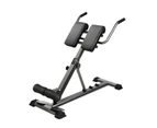 Finex Weight Bench Roman Chair Back Hyperextension Extension Fitness Equipments