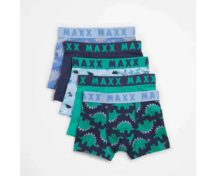 Boys Dinosaur Maxx Trunks - 5 Pack - Multi