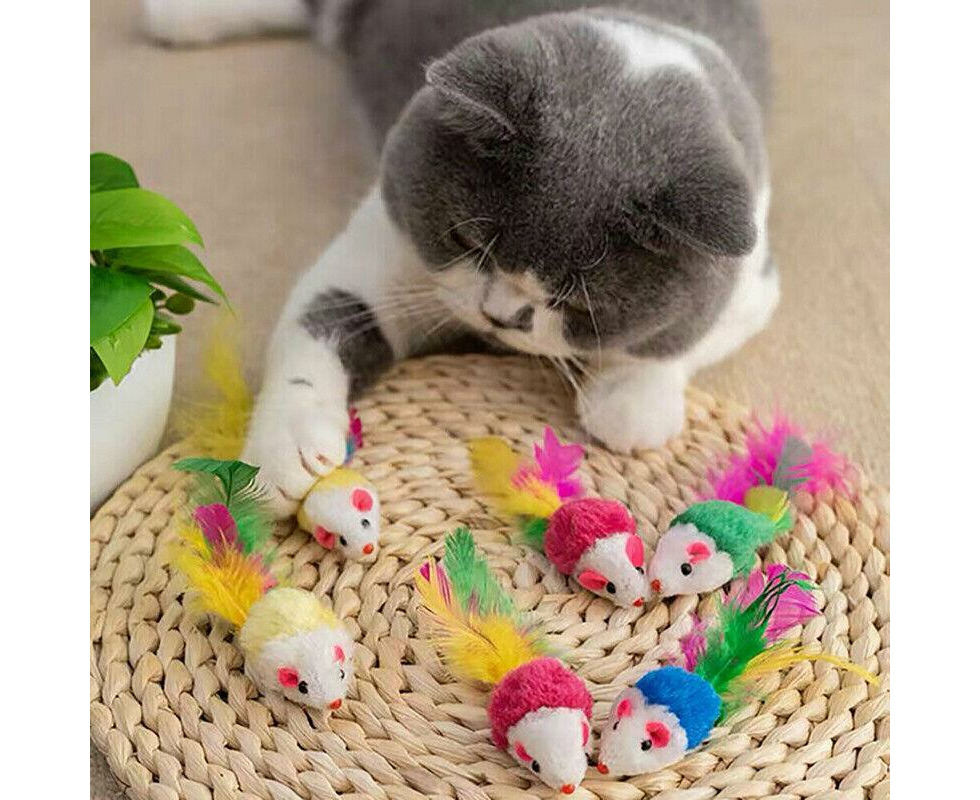 BULK BUY CAT Kitten Toys Rod Fur Mice Bells Balls Catnip 33 items Lovely  Pet Toy $21.23 - PicClick AU