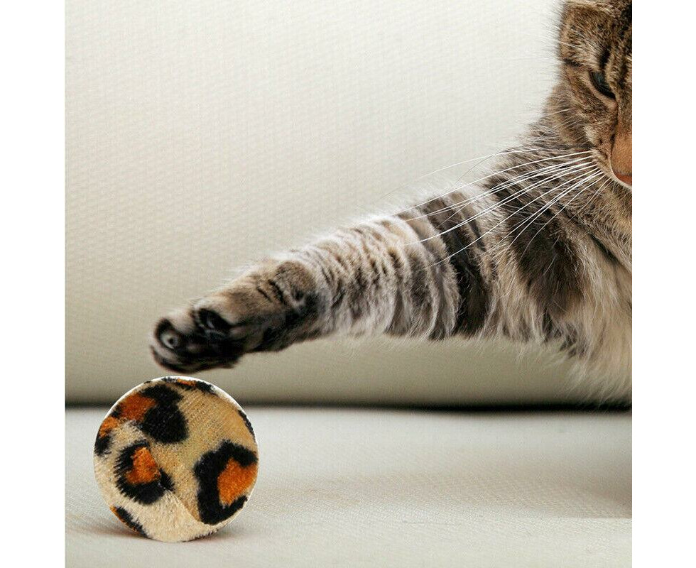 BULK BUY CAT Kitten Toys Rod Fur Mice Bells Balls Catnip 33 items Lovely  Pet Toy $21.23 - PicClick AU