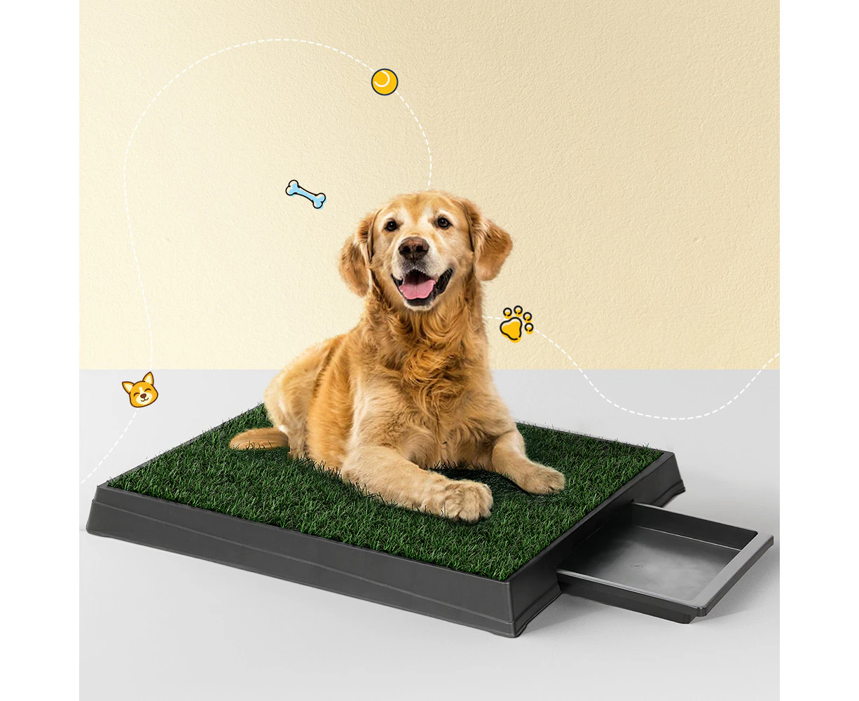 i.Pet Pet Training Pad Dog Potty Toilet Large Portable With Tray Grass 2 Mats