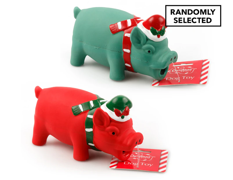 Dats Honking Pig Christmas Dog Toy - Randomly Selected