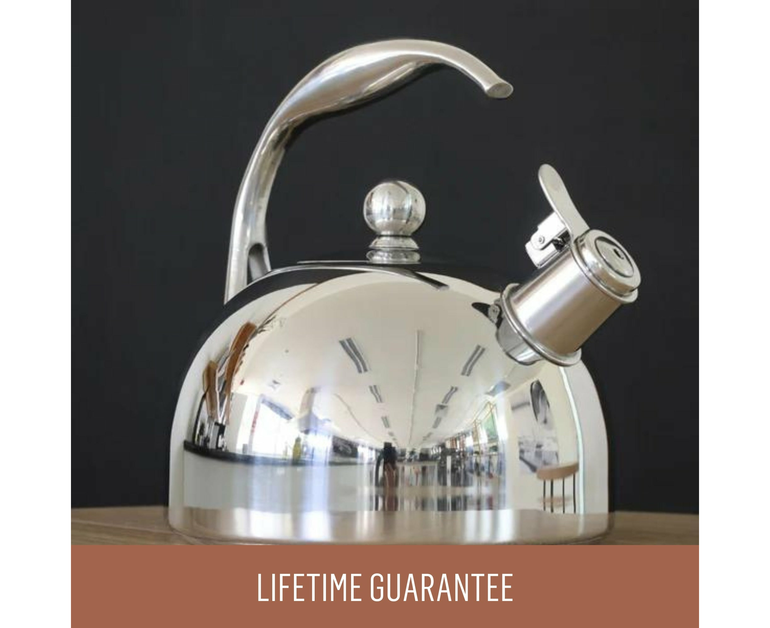 Essteele store stovetop kettle