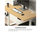 Oikiture 120cm Electric Standing Desk Dual Motor White Frame OAK Desktop