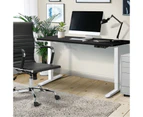 Oikiture 120cm Electric Standing Desk Single Motor Black Desktop