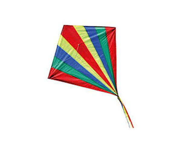 Brookite 79cm Shadow Kite Outdoor/Beach Fun Play Flying Toy 6y+ Kids/Children