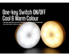 2pk 8 LED Cordless Motion Sensor Light  PIR Indoor Portable Night Lights 2 Colour USB Rechargeable Battery