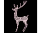 vidaXL XXL Acrylic Christmas Reindeer 250 LED 180 cm Warm White