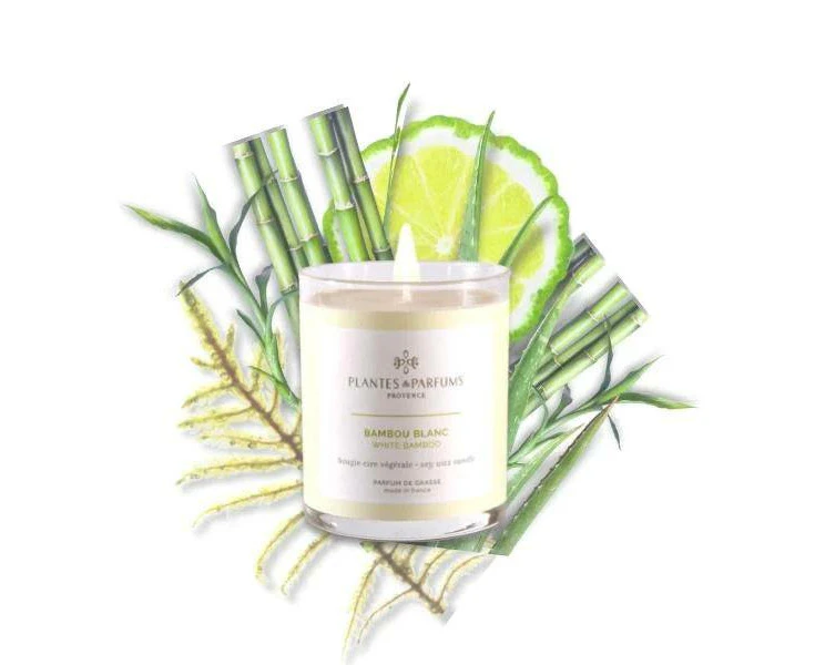 Plantes & Parfums | 75g Handcrafted Perfumed Candle - White Bamboo