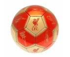 Liverpool FC YNWA Signature Football (Red/Gold) - TA11400