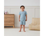 Ergopouch Toddler Pyjamas 2 Piece Set Short Sleeve Tog 0.2 Dragonflies - Dragonflies