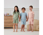 Ergopouch Toddler Pyjamas 2 Piece Set Short Sleeve Tog 0.2 Dragonflies - Dragonflies