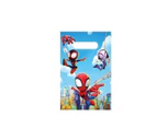10PC Spidey and Friends Spiderman Loot Lolly Bag Birthday Party Bag Favour Candy Bag