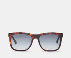 Calvin Klein Men's CK22519S Sunglasses - Havana/Black/Grey