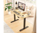 Advwin Standing Desk Electric Ergonomic Adjustable Height Sit Stand up Desk 120cm Oak Splice Board Table Top+Black Frame