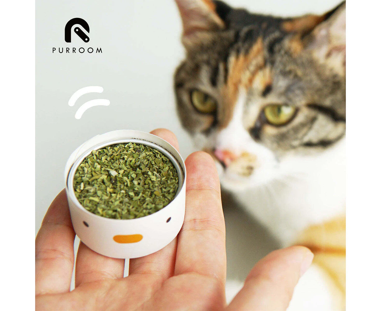 Purroom 4cm Dried Natural Catnip Can 3G Cat Toy Anxiety Reducer w/ Paper Spoon