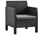 vidaXL Garden Chairs with Cushions 2 pcs PP Rattan Anthracite