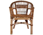 vidaXL Outdoor Chairs 2 pcs Natural Rattan Brown