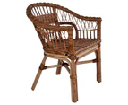 vidaXL Outdoor Chairs 2 pcs Natural Rattan Brown