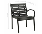 vidaXL Garden Chairs 2 pcs Steel and WPC Black