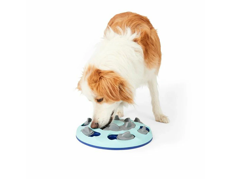 Pet Treat Puzzle Toy - Anko - Blue