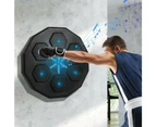 Centra Smart Punching Boxing Electronic Music Machine Home Training Bluetooth