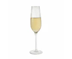 Flute Glasses, Set of 4 - Anko - Clear